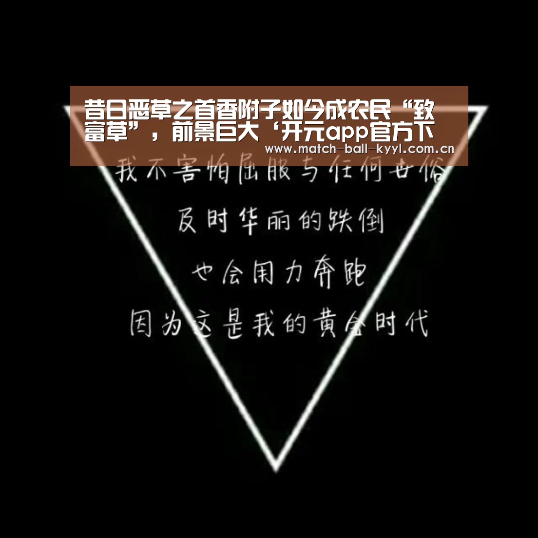 昔日恶草之首香附子如今成农民“致富草”,前景巨大‘开元app官方下载’(图3) 开元app